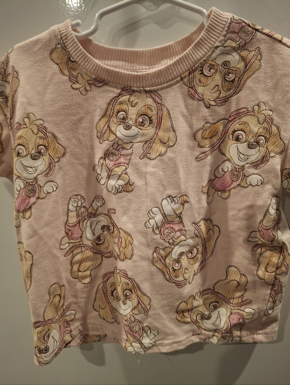 Girls' Pink Paw Patrol Skye Character Print Top